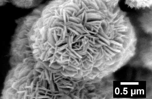 A scanning electron microscope image of lithium titanate (lithium, titanium, oxygen) 'nanoflowers'