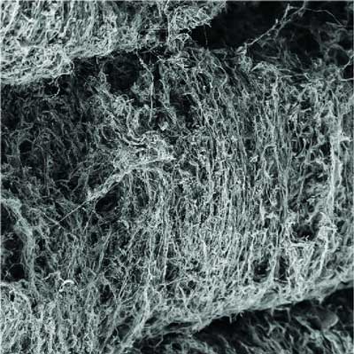 nanocellulose fibers