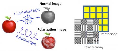 Visualized images obtained by detection of polarized light and conventional polarization image sensor