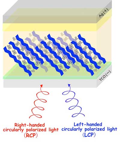 circularly polarized light detector