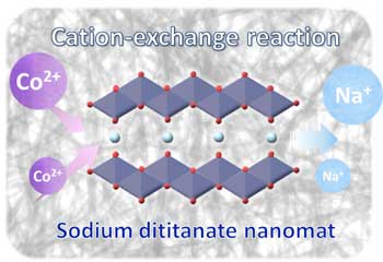 Seaweed-like sodium titanate mat for Co2+ removal