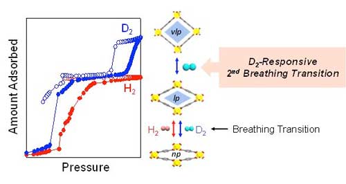 isotope-responsive breathing phenomenon of MIL-53(Al)