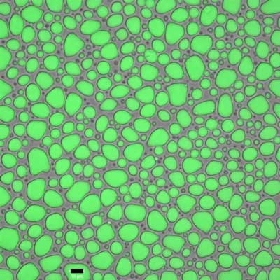 green globs of spidroins