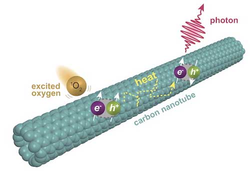 second level of fluorescence in single-walled carbon nanotubes