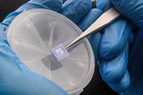 transistors on a chip