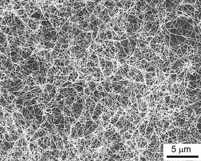 Scanning electron microscopy image of superlattice nanowires