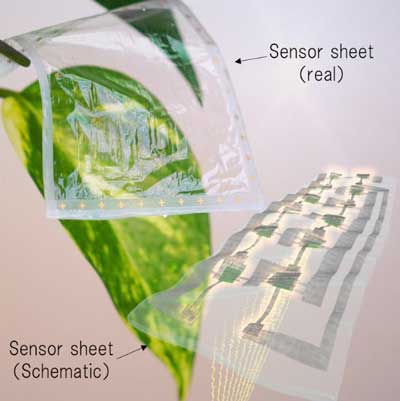 transparent sensor sheet