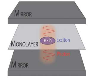 Exciton-polariton: hybrid quasiparticle between a photon (light) and an exciton (bound electron-hole pair)