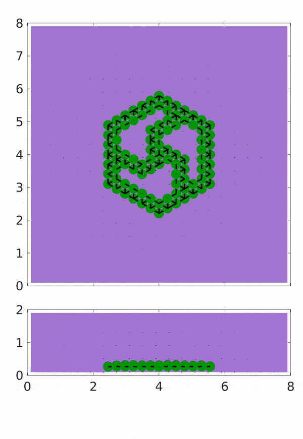 Animation demonstrating the dynamics of a CAT-coated flexible sheet in H2O2 solution