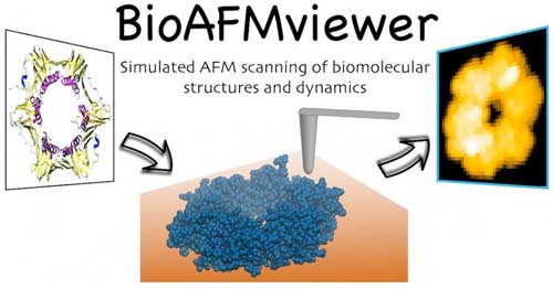 Schematic illustration of the BioAFMviewer functionality