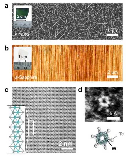 Different substrate, different nanowire arrangement