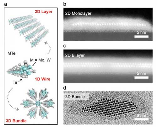 Different forms of nanowires