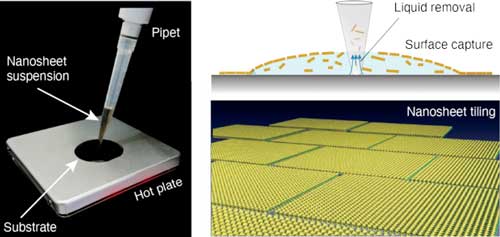 dropping a nanosheet suspension onto a substrate heated by a hot plate and then removing the solution, leads to a uniform surface tension-driven tiling of the nanosheets