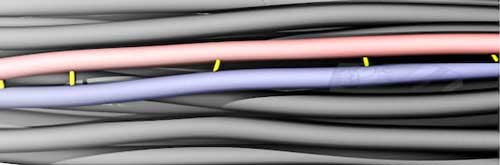 Crosslinks between carbon nanotubes in a bundle