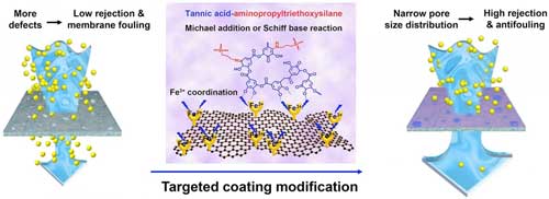 Diagram of targeted coating modification on graphene oxide membrane