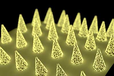 Microneedle patch with plasmonic fluor, ultrabright gold nanolables