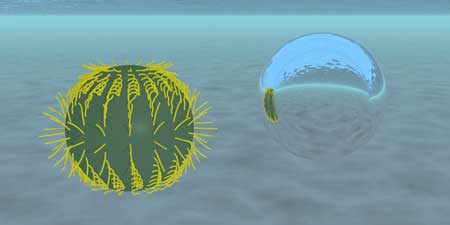 A microswimmer propelled by cilia (left) and an air bubble in water