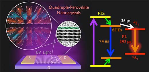 Efficient luminescent halide quadruple-perovskite nanocrystals via trap-engineering for highly sensitive photodetectors