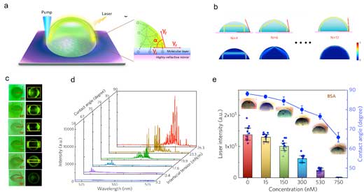 Schematic of a droplet laser hosting arc-like modes