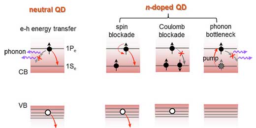 Carrier-carrier, carrier-phonon and spin-spin interactions in doped quantum dots result in long-lived hot electrons