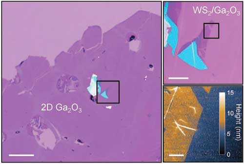 Tungsten-disulfide / gallium-oxide heterostructure