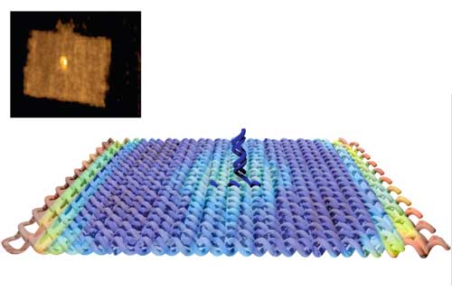 A molecular raft, created using the origami technique