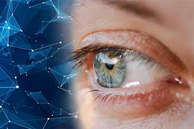 eye