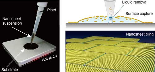 surface tension-driven tiling of nanosheets