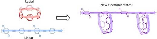 combining linear and radial molecules to create polymers with novel electronic states