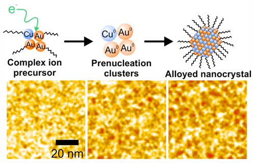 Visualizing Ligand-Mediated Bimetallic Nanocrystal Formation Pathways with in Situ Liquid-Phase Transmission Electron Microscopy Synthesis