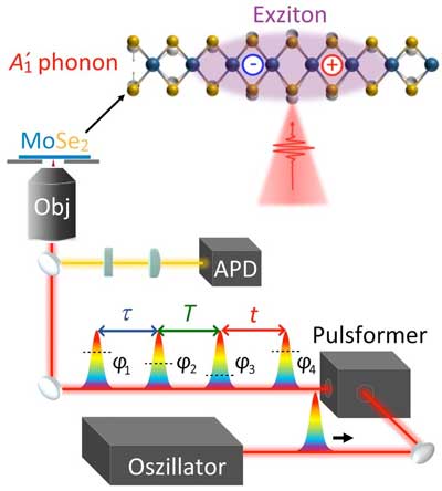 experimental setup for determining the vibration of 2D materials