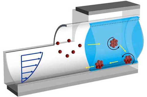 A self-assembled microswarm (in red) is able to swim against the blood flow along a capillary wall
