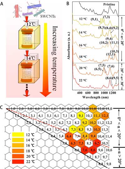 Temperature tuning the selective adsorption of SWCNTs by chiral angle