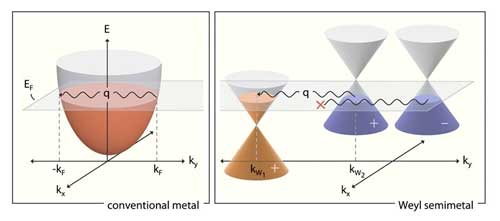 Energy versus momentum depiction of different conditions that give rise to a Kohn anomaly in ordinary metals (at left), versus a topological material called a Weyl semimetal