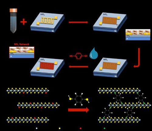 Molecular bridges provide researchers with a new tool to tailor the conductivity of TMD inks on demand