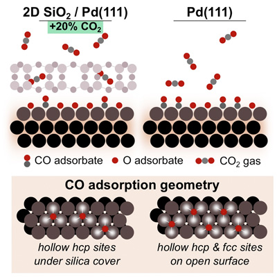 A schematic showing how oxidation of carbon monoxide on palladium under a 2D microporous silica cover produces 20 percent more carbon dioxide, as compared to the reaction on bare Pd