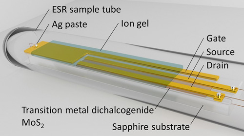 Schematic diagram of a MoS2 transistor in an ESR sample tube