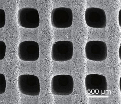 porous carbon aerogel