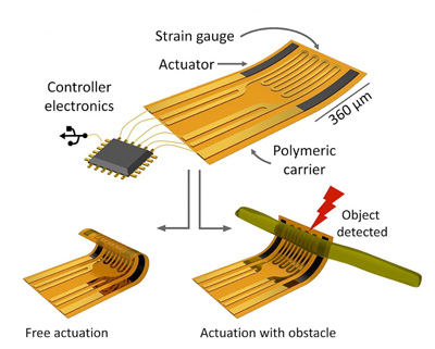 Adaptive Microelectronics Reshape Independently and Detect Environment