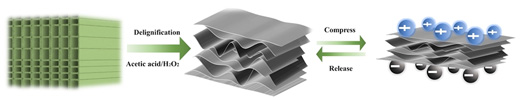 how a piezoelectric nanogenerator works