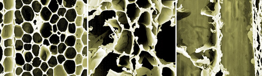 wood nanogenerator
