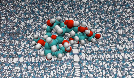 A molecular-level detail of the interaction between PVA and ice
