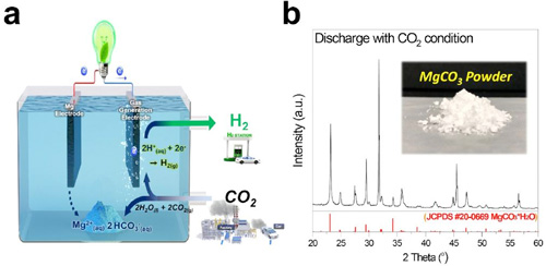 Schematic illustration of MF Mg-CO2 battery