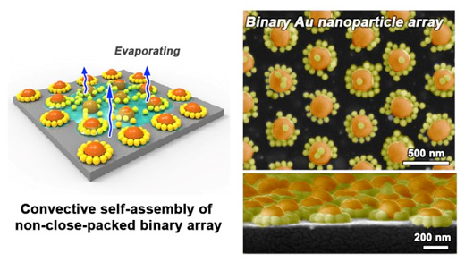 Convective self-assembly of non-close-packed binary array