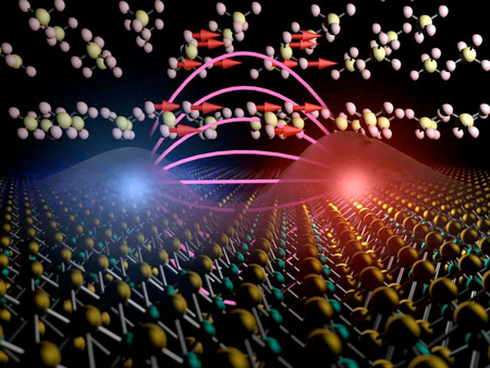 Artistic representation of interlayer exciton-phonon coupling at a transition metal dichalcogenide gypsum interface