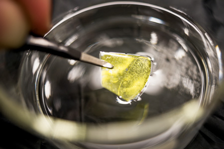 Cubic silicon carbide in water