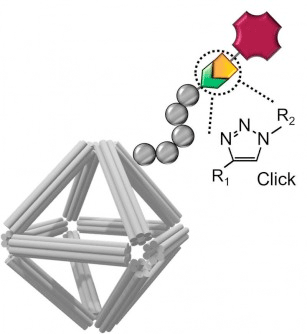 Schematic of a DNA origami equipped with imaging and cell-targeting capabilities