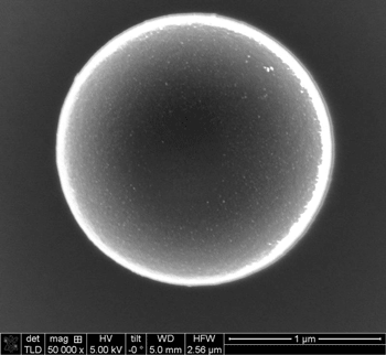 Electron microscope image of a microswimmer