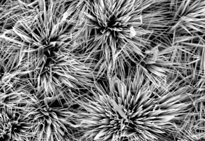 nanowires on graphene film supercapacitor
