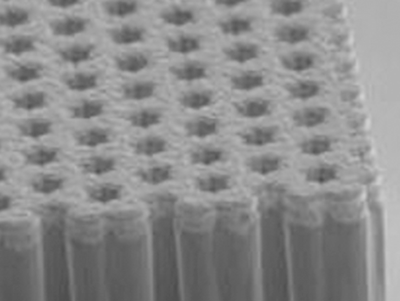 Scanning electron microscopy image of a honeycomb lattice of coupled micropillars